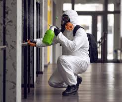 Mold Odor Removal Services in Millington, MI